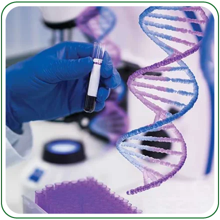 Molecular Diagnostics & Genetics